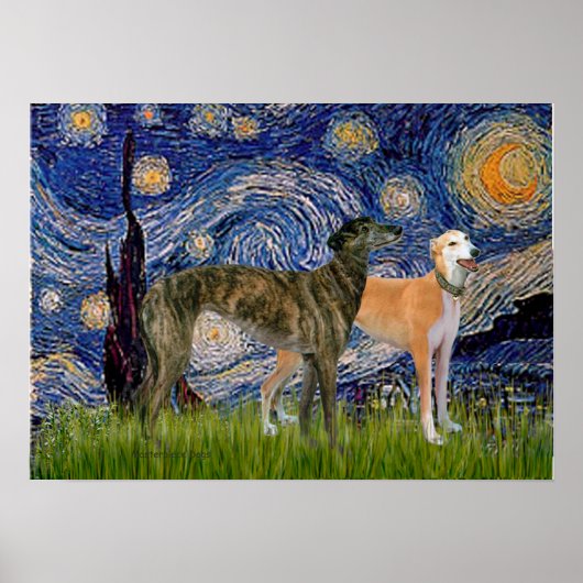 Greyhound Pair - Starry Night Poster (Vorne)