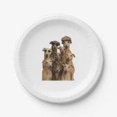 Greyhound pappteller (Vorderseite)