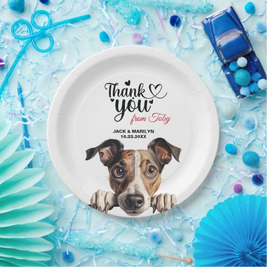 Greyhound Pappteller (Party)