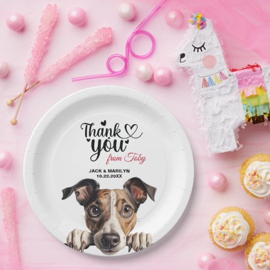 Greyhound Pappteller (Party)