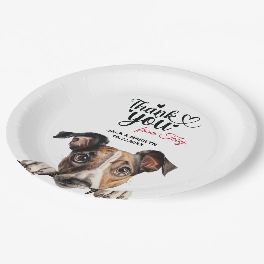 Greyhound Pappteller (Schrägansicht)