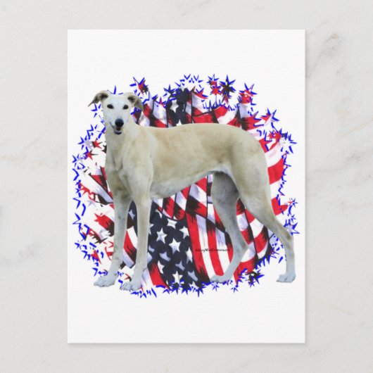 Greyhound Patriot Postkarte (Vorderseite)