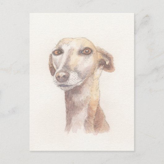 Greyhound-Portrait Postkarte (Vorderseite)