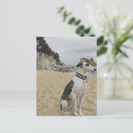 Greyhound Postcard Postkarte (Stehend Vorderseite)