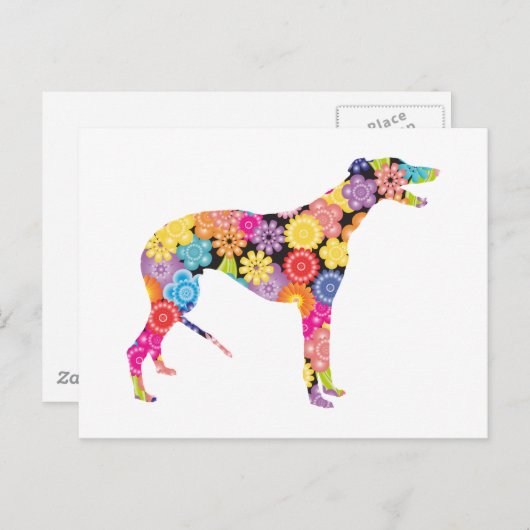 Greyhound Postkarte (Vorne/Hinten)
