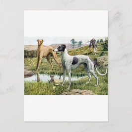Greyhound Postkarte