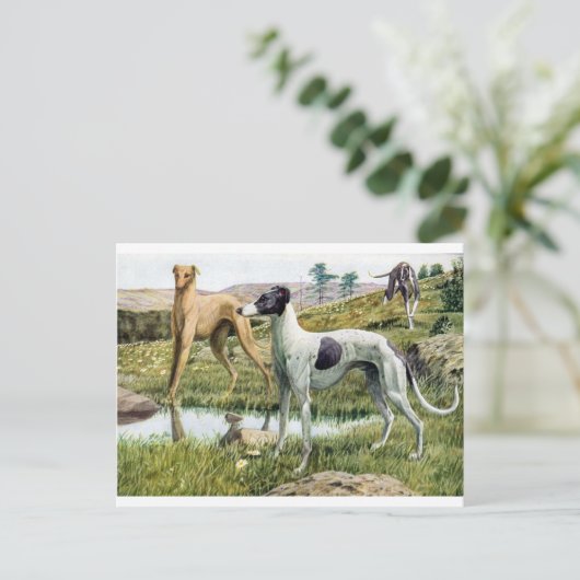 Greyhound Postkarte (Stehend Vorderseite)