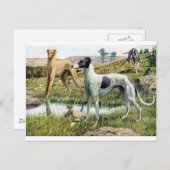 Greyhound Postkarte (Vorne/Hinten)