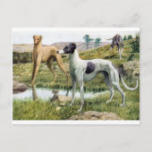 Greyhound Postkarte (Vorderseite)