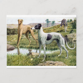 Greyhound Postkarte