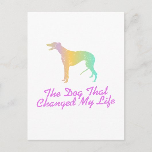 Greyhound Postkarte (Vorderseite)
