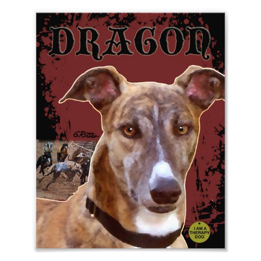 Greyhound Print Fotodruck (Vorne)