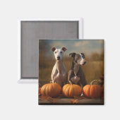 Greyhound Puppy Autumn Delight Pumpkin Magnet (Vorderseite/Rückseite)