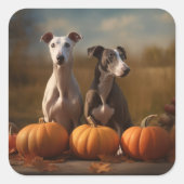 Greyhound Puppy Autumn Delight Pumpkin Quadratischer Aufkleber (Vorderseite)