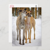 Greyhound Puppy Dogs- Brindle And Tan Stickers Postkarte (Vorne/Hinten)