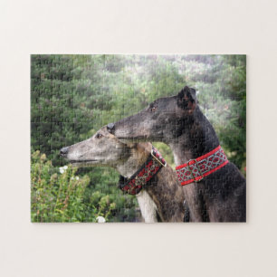 Greyhound-Puzzle (Alice und Shadow) Puzzle