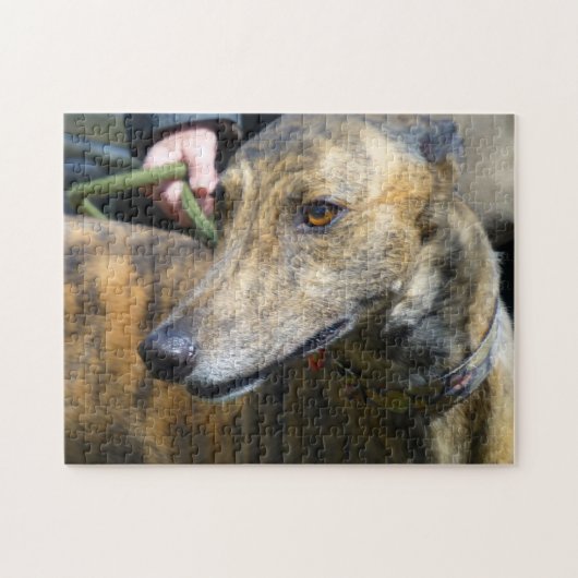Greyhound-Puzzle (p289) Puzzle (Horizontal)