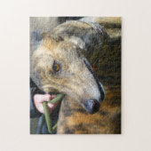 Greyhound-Puzzle (p289) Puzzle (Vertikal)