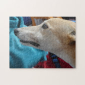 Greyhound-Puzzle Puzzle (Horizontal)