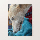 Greyhound-Puzzle Puzzle (Vertikal)