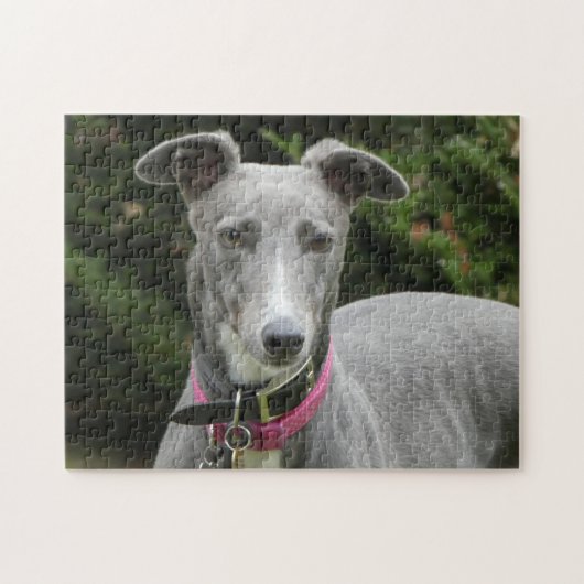Greyhound-Puzzle Puzzle (Horizontal)