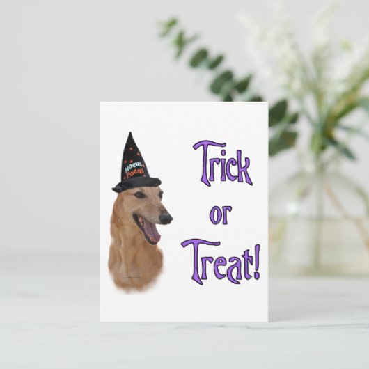 Greyhound (rot) Trick Postkarte (Stehend Vorderseite)