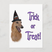 Greyhound (rot) Trick Postkarte (Vorderseite)