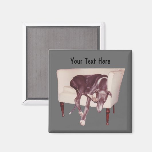 Greyhound Schlafen im Stuhl Funny Magnet (Vorderseite/Rückseite)