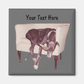 Greyhound Schlafen im Stuhl Funny Magnet (Vorne)