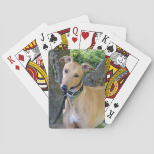 Greyhound-Spielkarten (5) Spielkarten