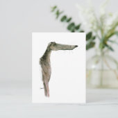 Greyhound, tony fernandes postkarte (Stehend Vorderseite)