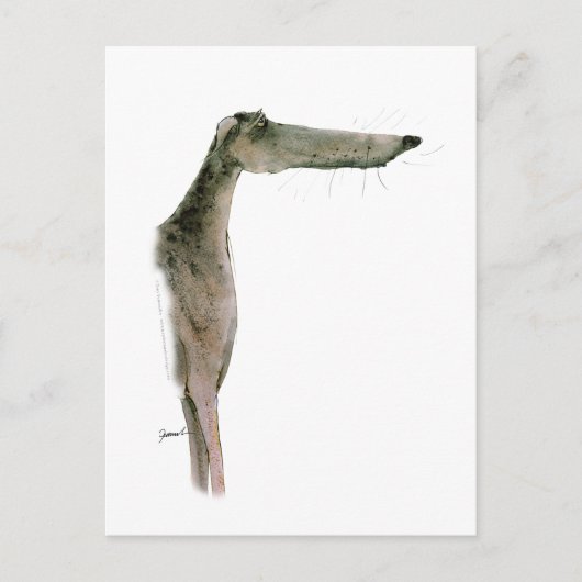 Greyhound, tony fernandes postkarte (Vorderseite)