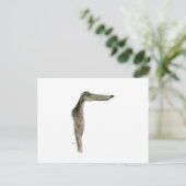 Greyhound, tony fernandes postkarte (Stehend Vorderseite)