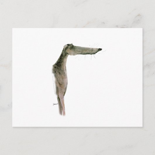 Greyhound, tony fernandes postkarte (Vorderseite)
