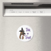 Greyhound-Trick Magnet (In Situ (Geschirrspüler))