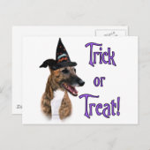 Greyhound-Trick Postkarte (Vorne/Hinten)