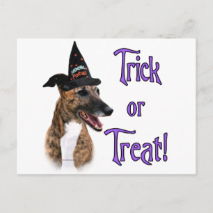 Greyhound-Trick Postkarte