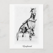 Greyhound Trotter Postkarte (Vorderseite)