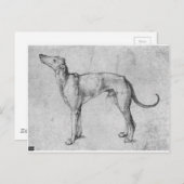 Greyhound von Albrecht Durer Postkarte (Vorne/Hinten)