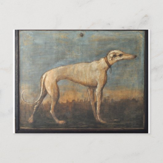 Greyhound von Giovanni Domenico Tiepolo Postkarte (Vorderseite)