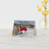 Greyhound Weihnachtskarte - Blau mit roter Jacke Karte (Gelbe Blume)