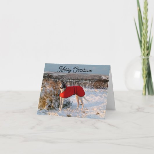 Greyhound Weihnachtskarte - Blau mit roter Jacke Karte (Vorderseite)