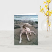 Greyhound Welpen-Blankenkarte Karte (Gelbe Blume)