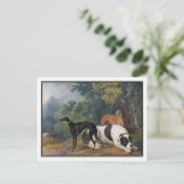 Greyhounds und Mastiff von Sawrey Gilpin Postkarte (Stehend Vorderseite)