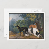 Greyhounds und Mastiff von Sawrey Gilpin Postkarte (Vorne/Hinten)