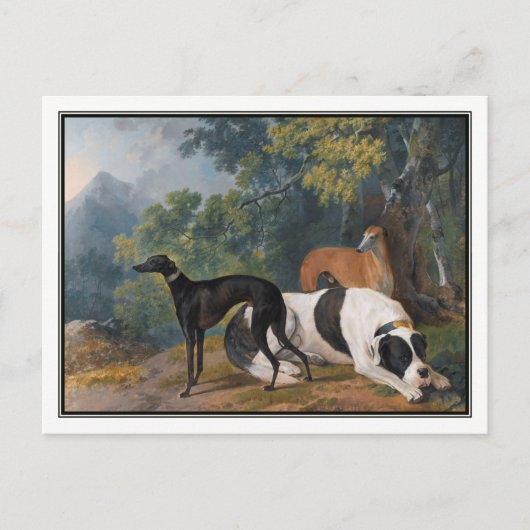Greyhounds und Mastiff von Sawrey Gilpin Postkarte (Vorderseite)