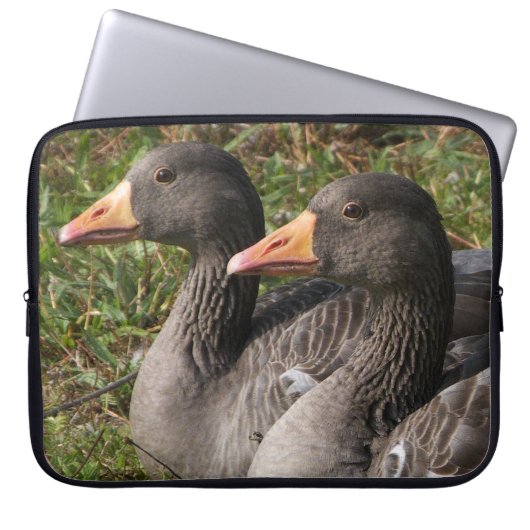 Greylag Gänse Laptopschutzhülle (Vorderseite)