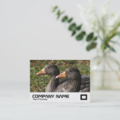 Greylag Gänse Visitenkarte (Stehend Vorderseite)