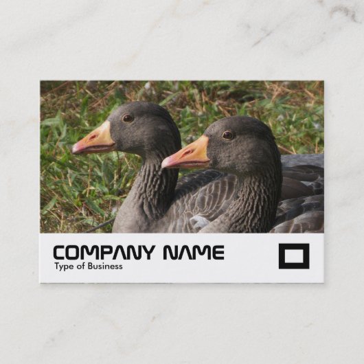 Greylag Gänse Visitenkarte (Vorderseite)