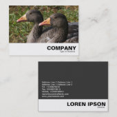 Greylag Gänse Visitenkarte (Vorne/Hinten)